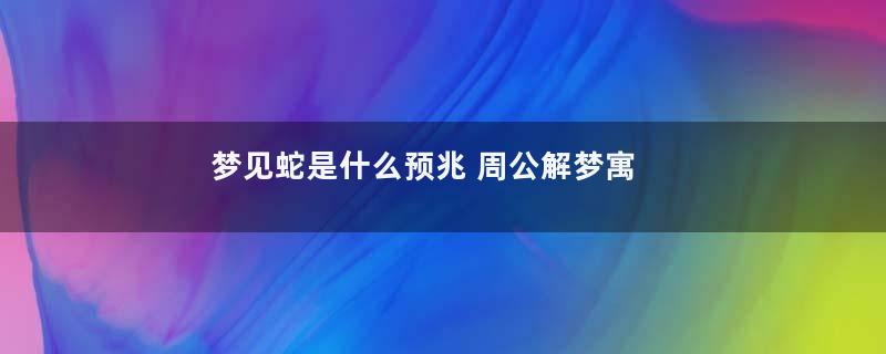 梦见蛇是什么预兆 周公解梦寓意着什么意思